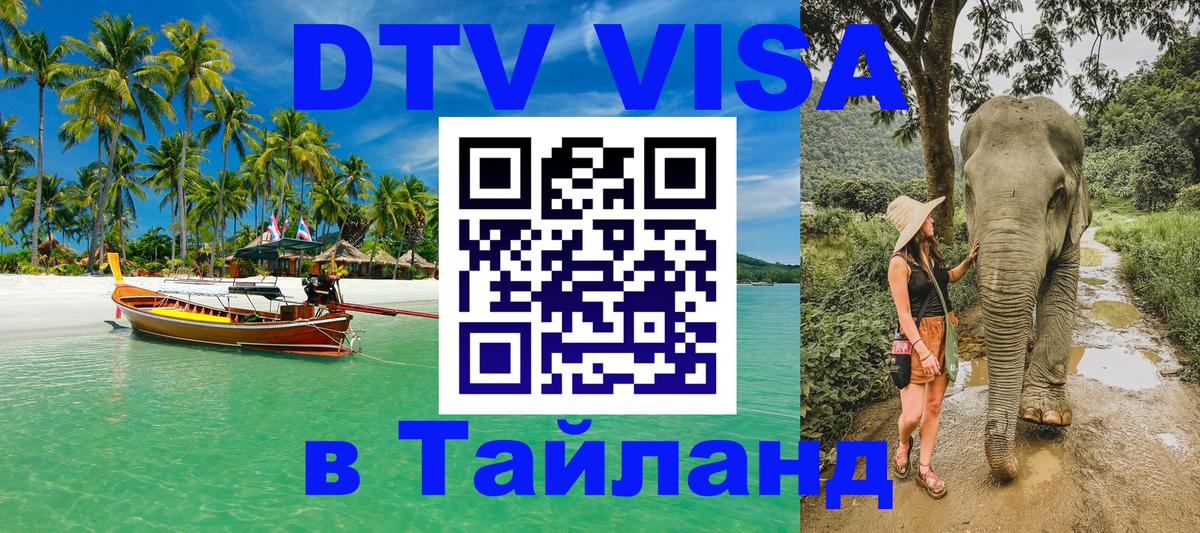 Купить DTV визу в Таиланд Брянск 
